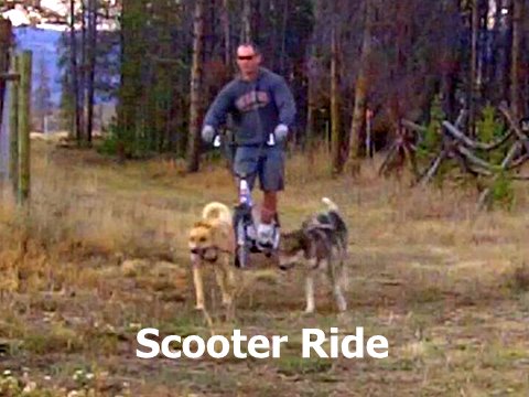 A scooter ride at Dog Sled Rides of Winter Park