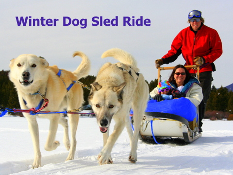 A sled pulled by huskys at Dog Sled Rides of Winter Park.